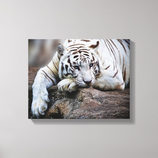 Melancholy Canvas Print (Front)