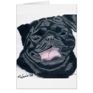 Mélange de carlin et de bouledogue - Jaba