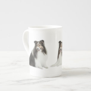 Mélange de Sheltie et tasse de match