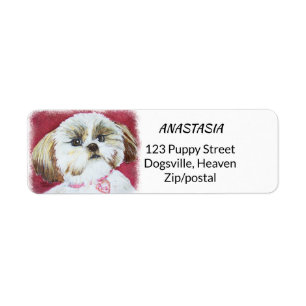 MÉLANGE DE SHIH TZU DE JOUET