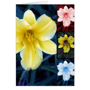 Mélange floral - Carte de voeux vierge