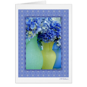 Mélange II d'hortensia