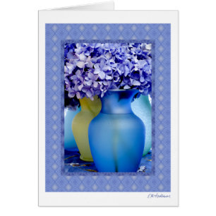 Mélange VI d'hortensia