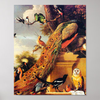 Melchior d'Hondecoeter - Birds in a Park Poster