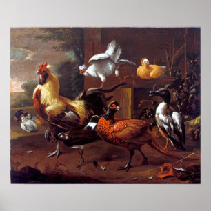 Melchior of Honcoeter Chicken Yard Poster