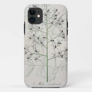 Melia Azedarach from 'Phytographie Medicale' by Jo iPhone 11 Case