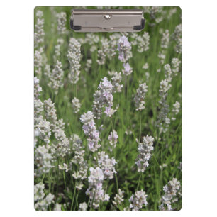Melissa Lavender Clipboard