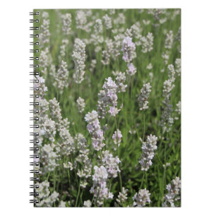 Melissa Lavender Notebook