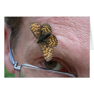 Melitaea athalia