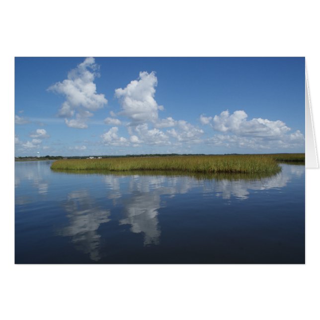 Mellow II (Devant horizontal)