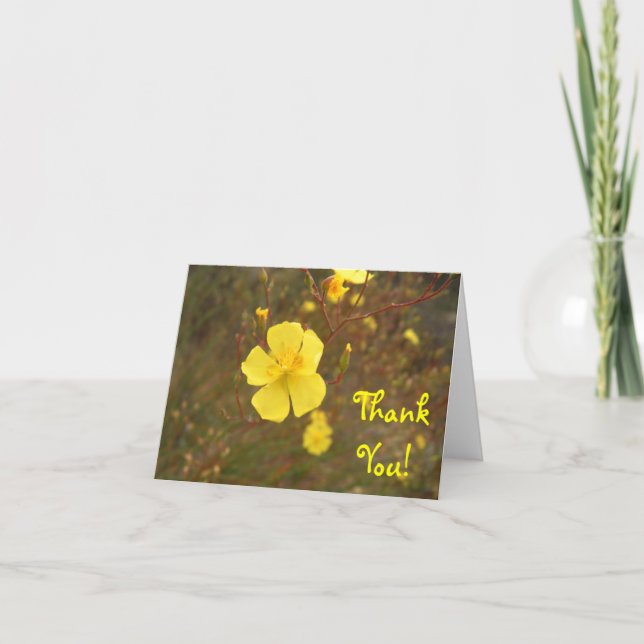 Mellow Yellow Thank You Card (Front)
