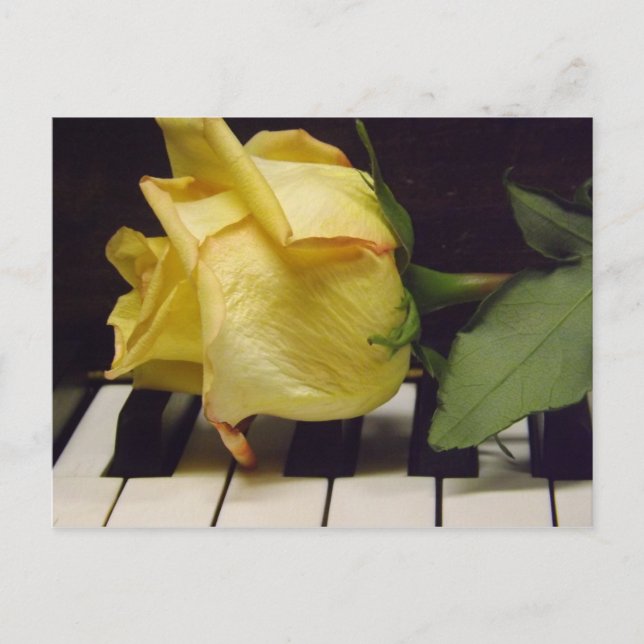 Mélodie D'Une Carte Postale Rose (Devant)