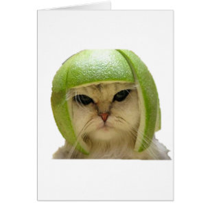 melon