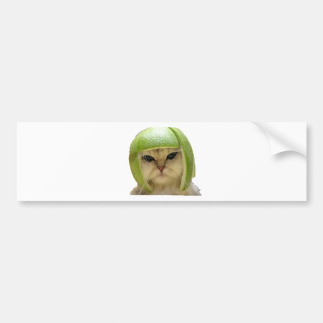 melon cat bumper sticker (Front)