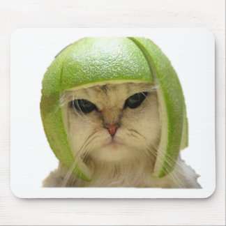 melon cat mouse pad