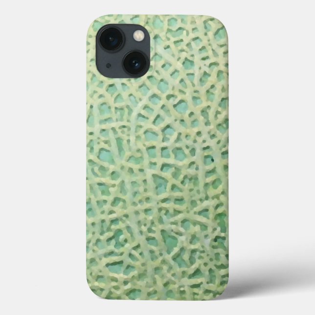 melon pattern iPod touch 5G cover (Back)
