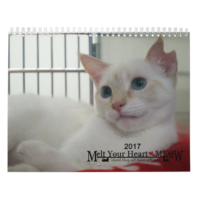 Melt Your Heart - MEOW 2017 Kitten Calendar (Cover)