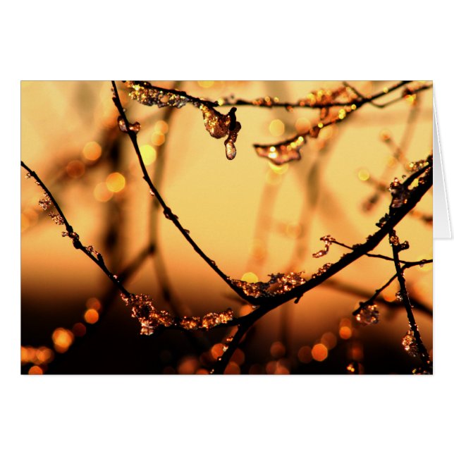 Melting Dawn (Devant horizontal)