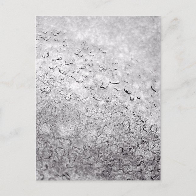 Melting Snow Postcard (Front)