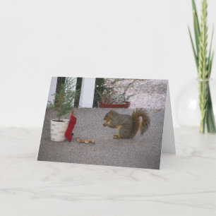 Melvin's Christmas Card