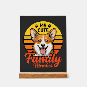 Membre de la famille Corgi mignon amateur de chien