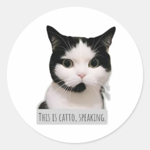 meme cat classic round sticker