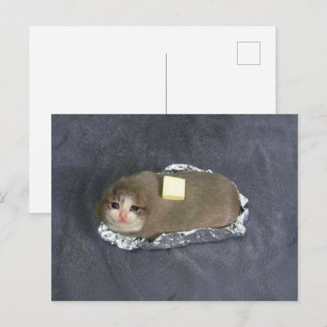 Mème de chat Butta sur carte postale (Devant / Derrière)
