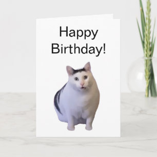 Mème de chat Hat de carte plié