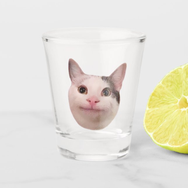 Mème de chat poli en verre de tir (Devant)
