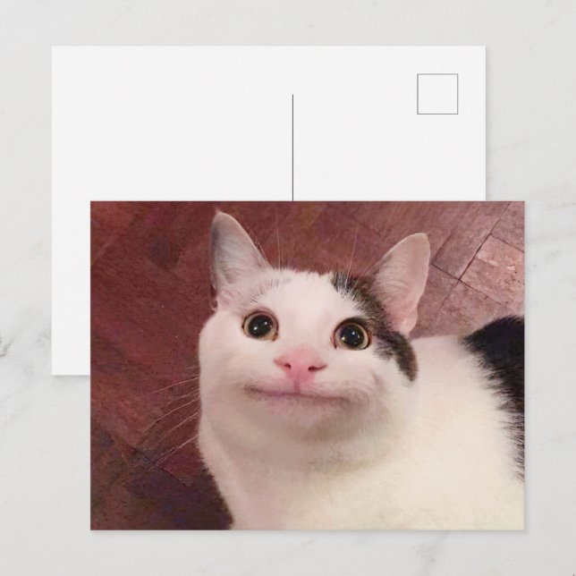 Mème de chat poli sur carte postale (Devant / Derrière)