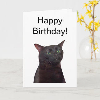 Mème de chat Zoned Out de carte pliée