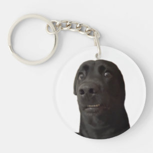 Mème de chien effrayé porte - clé