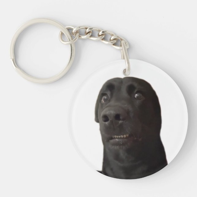 Mème de chien effrayé porte - clé (Devant)