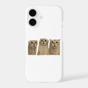 Mème des triples chats idiots baveux