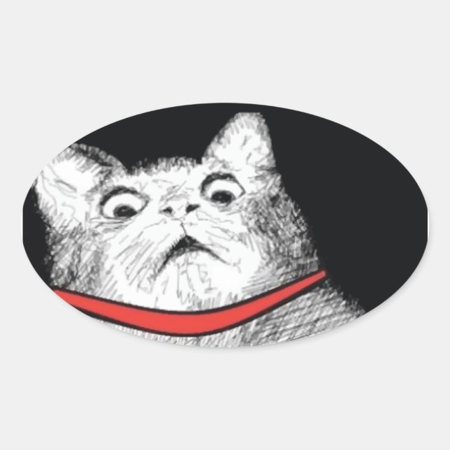 Mème d'essence de chat surpris - Stickers ovale (Devant)