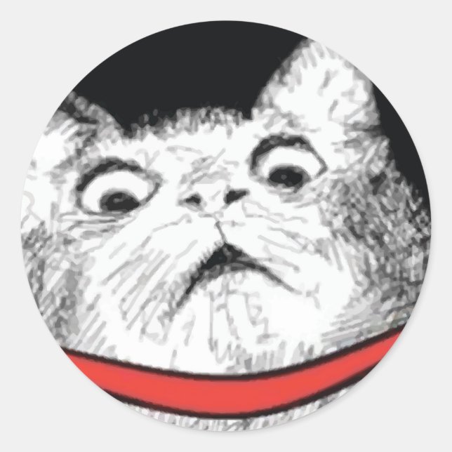 Mème d'essence de chat surpris - Stickers ronds (Devant)