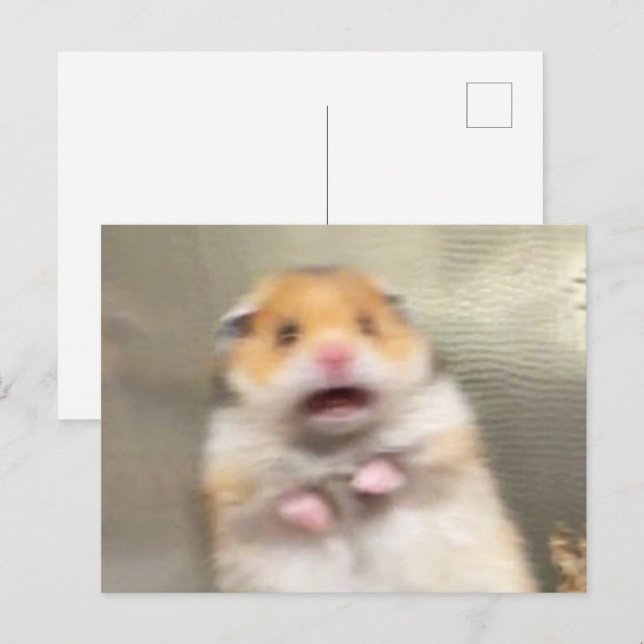 Mème du hamster effrayé sur carte postale (Devant / Derrière)