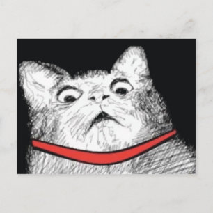 Mème Gasp Chat Surpris - Carte Postale