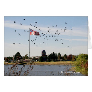 Même les canards aiment les Etats-Unis