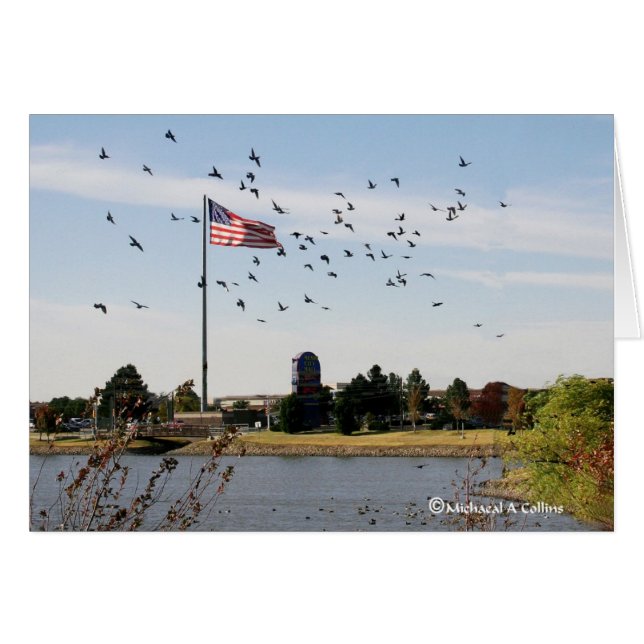 Même les canards aiment les Etats-Unis (Devant horizontal)