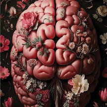 Memento Mori