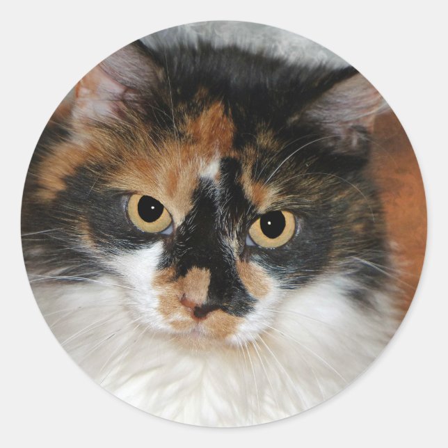MeMeow Classic Round Sticker (Front)