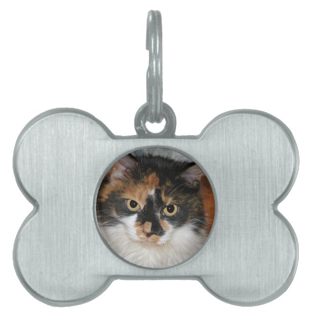 MeMeow Pet ID Tag (Front)