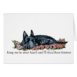 Mémoire d'écossais Terrier