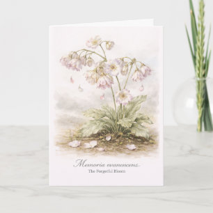 Memoria Evanescens – The Forgetful Bloom Botanical Card