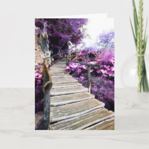 memorial card wisteria stairs