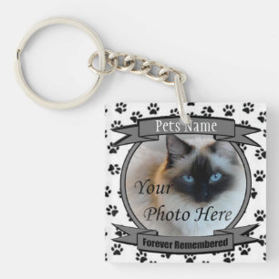 Mémorial du chat - Pour toujours souvenir - Perte 