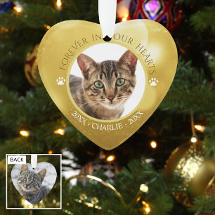 Memorial FOREVER DANS NOS COEURS Photo de chat