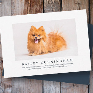 Memorial Funeral For Pet Elegant Modern Photo Thank You Card
