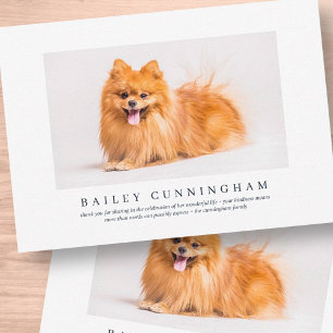 Memorial Funeral For Pet Elegant Modern Photo Thank You Card